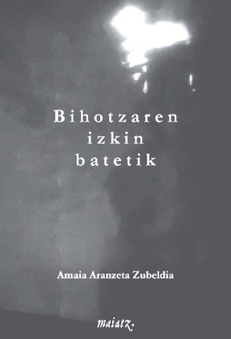 Bihotzaren izkin batetik