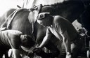 A la rencontre des anciens métiers 