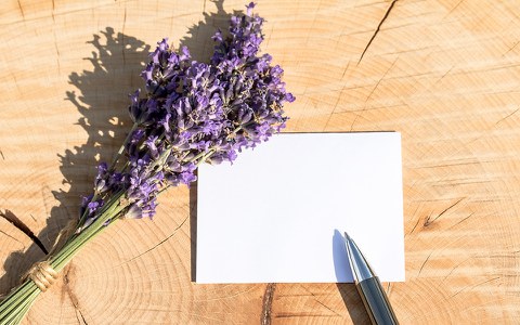 Atelier "Hatsaren poesiaren"