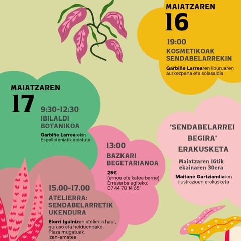 Belagile zikloa