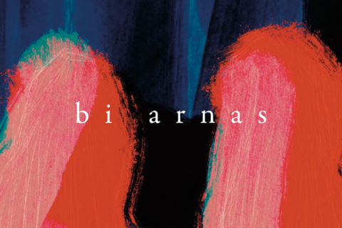 Documentaire "Bi arnas"