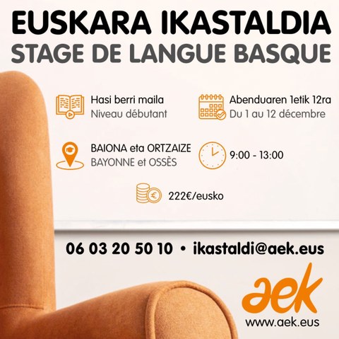 Stage de langue basque