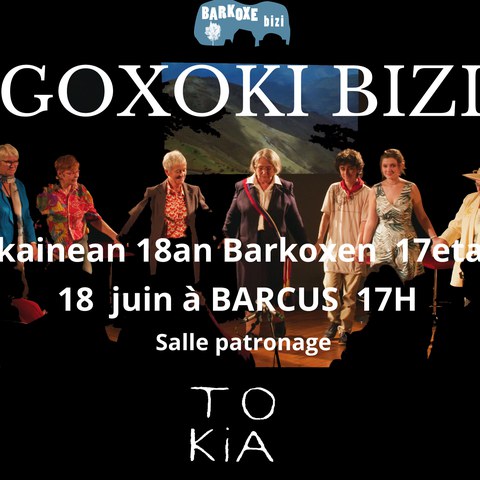 Goxoki bizi