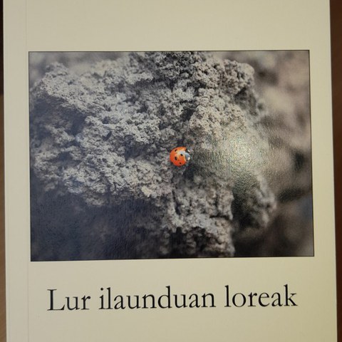 Irakur!zaleak: Txomin Heguy