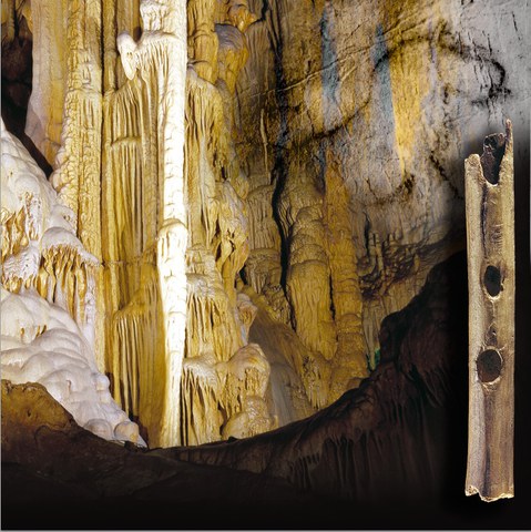 Journée des Grottes et du Monde Souterrain aux Grottes d'Isturitz et d'Oxocelhaya