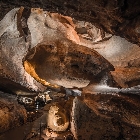 La musique des Grottes - Jean-Claude Enrique