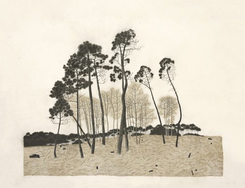 Visite guidée en euskara des expositions "La part du feu" et "Vaste Monde #3"