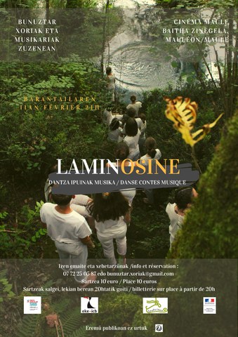 Laminosine Laminosine