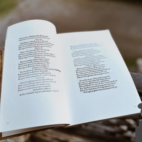 Visite du livre "Linguae Vasconum Primitiae"