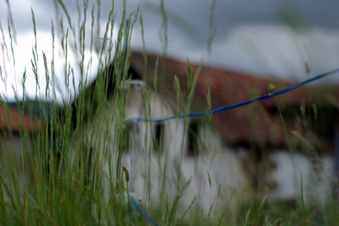 Etxea : la maison, histoire de la vie du Basque Etxea : la maison, histoire de la vie du Basque
