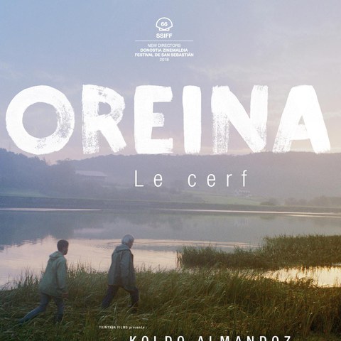 Oreina