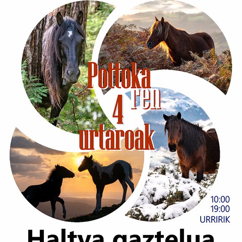 Les 4 saisons du pottok