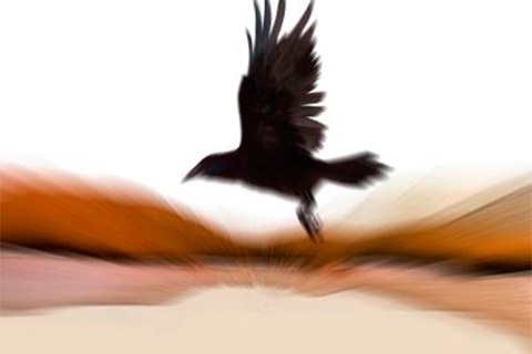 Sorotan Bele gogoan eta Lazkaoko Musika Banda