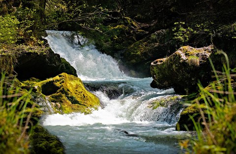 Confluences des traditions, Pays-Basque et Cameroun, le mythe de l'eau Confluences des traditions, Pays-Basque et Cameroun, le mythe de l'eau
