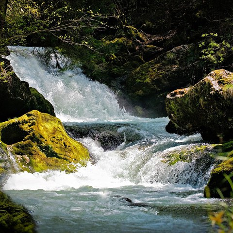Confluences des traditions, Pays-Basque et Cameroun, le mythe de l'eau