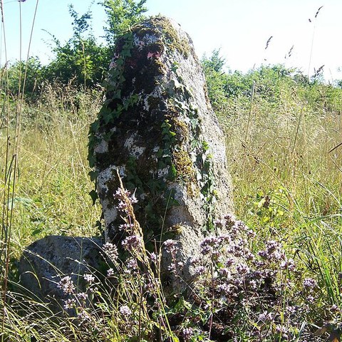 Xarles Videgain "Les mots de la frontière"