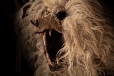 Masque d'ours © Matiu Bordato Masque d'ours © Matiu Bordato