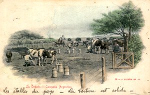 Début du XXème siècle, collection particulière