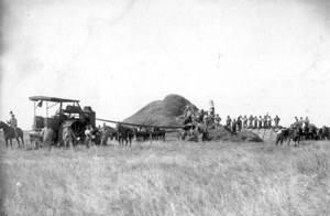 Le battage du grain, Argentine, début du XXème siècle, coll. part. Le battage du grain, Argentine, début du XXème siècle, coll. part.
