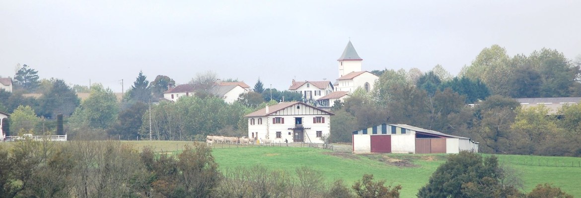Amendeuix-Oneix