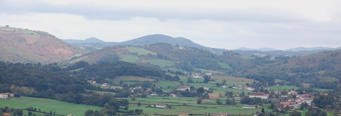 Ossès