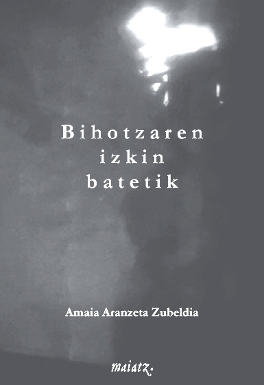 Bihotzaren izkin batetik