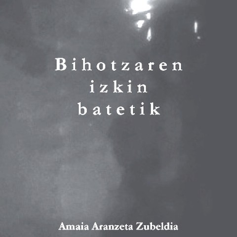 Bihotzaren izkin batetik