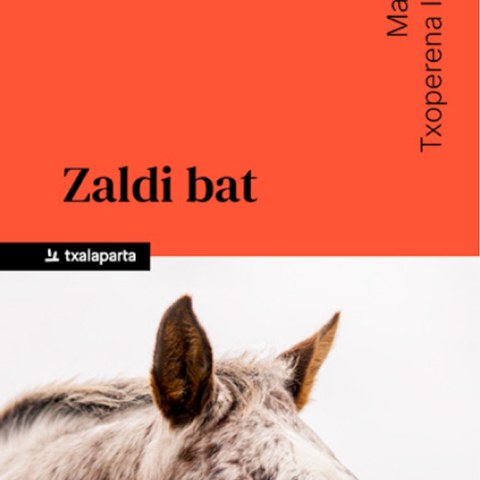 Zaldi bat