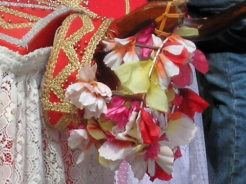 Les costumes