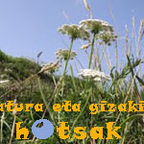 La culture basque dans son jardin