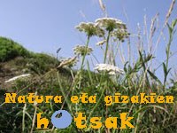 La culture basque dans son jardin