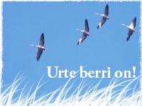 Urte berri on ! Urte berri on !