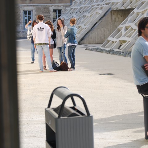 La perception sociale des sciences et technologies des étudiant(e)s du Pays Basque 