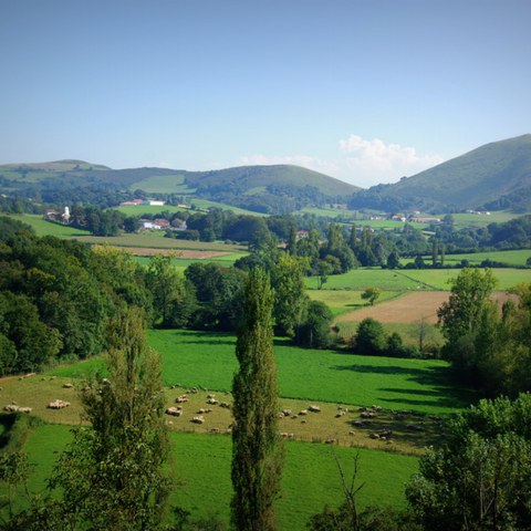 Un panorama de la vie culturelle basque par intercommunalités et communes