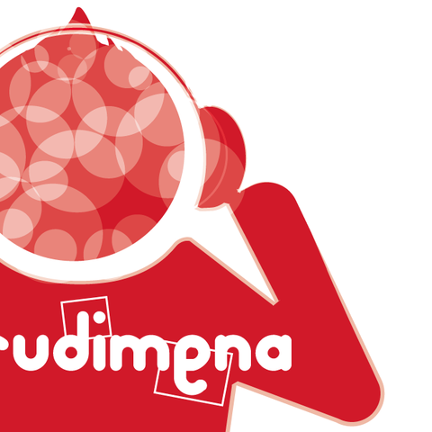 La 4ème édition du concours "Irudimena"