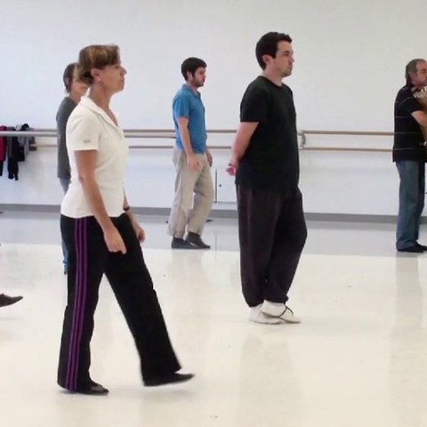 La "Journée des danses basques" 2013 en vidéo