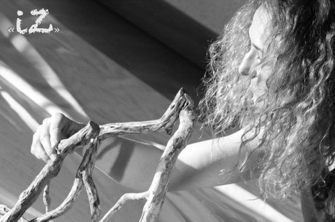 Présentation du spectacle "iZ" à Hendaye