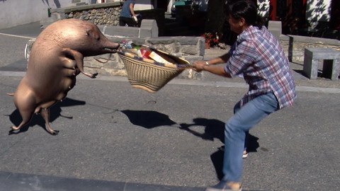 Le film ''Txerri'' projeté à Irissarry Le film ''Txerri'' projeté à Irissarry