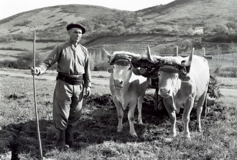 Des collections de témoignages de la mémoire orale basque Des collections de témoignages de la mémoire orale basque
