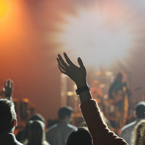 Festival Loraldia #6 : l’ICB renforce son partenariat avec l’association de Bilbao