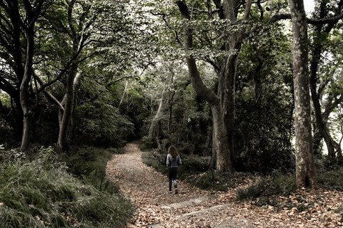 Nekatoenea/Hugoenea 2026 - Résidence de création littéraire à destination des écrivains basques