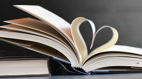 Présentation des nouveautés en langue basque aux professionnels de la lecture publique