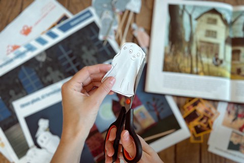 Zineskola : l’éducation par le cinéma