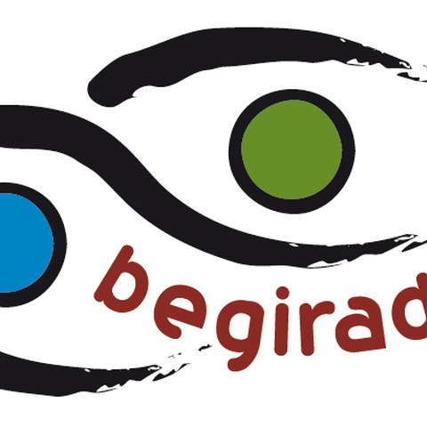 Begiradak