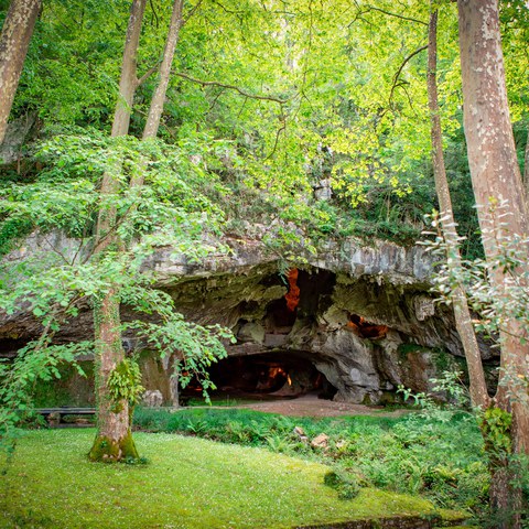 Grottes de Sare