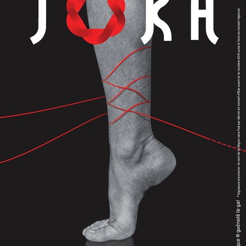 L'exposition "SOKA, regards sur la danse basque" à Lons