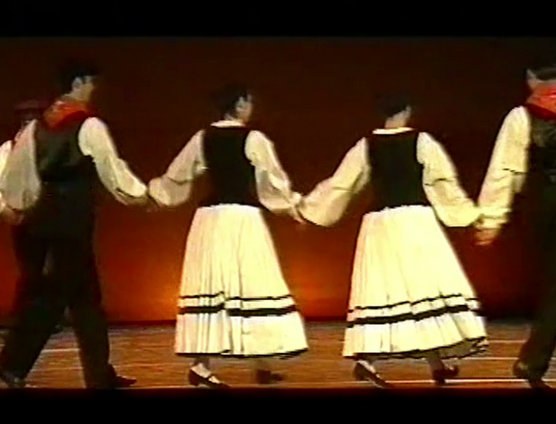 Karakoiltzia